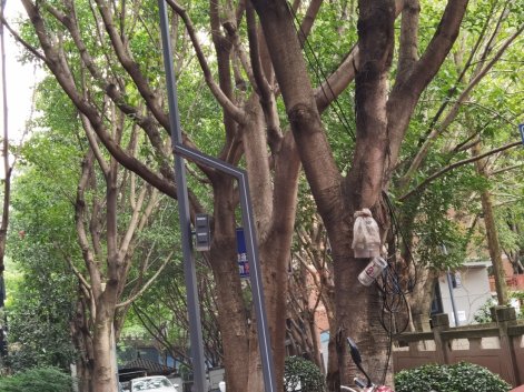 C:\Users\admin\AppData\Local\Temp\WeChat Files\1b7667534cd67634da6279c8dde5b2e.jpg